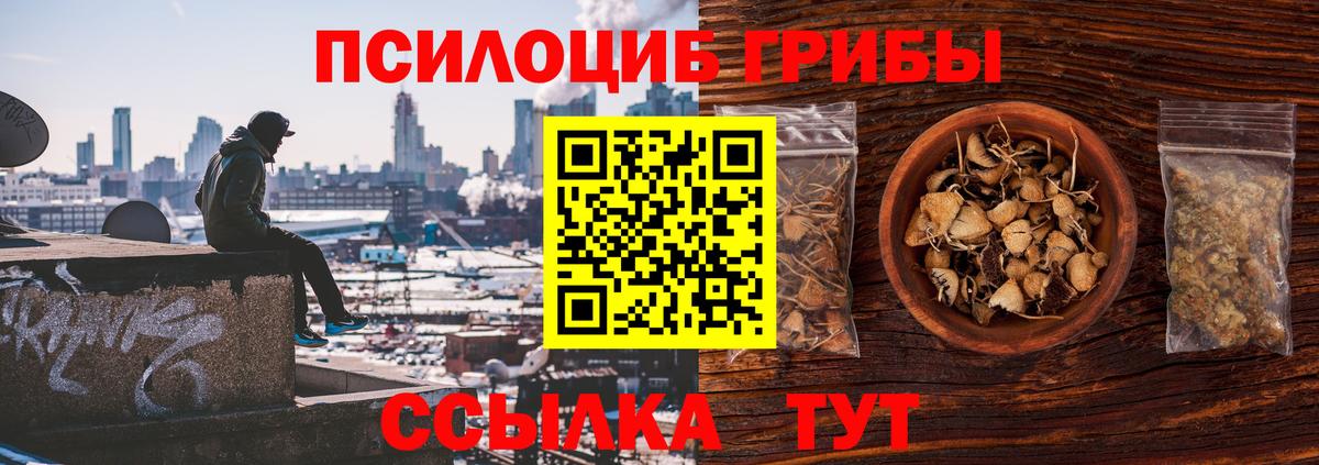 Выкса  Псилоцибиновые грибы Psilocybine cubensis  Вход с VPN 